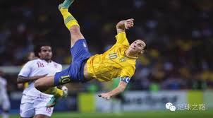 lrooy