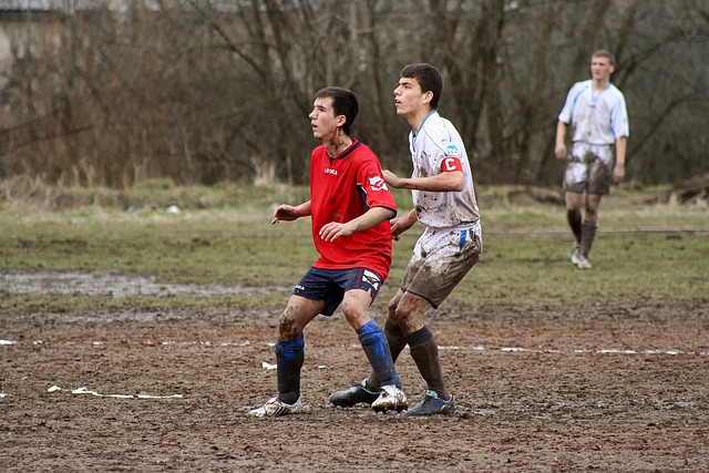 育与旅游完 育与旅游完