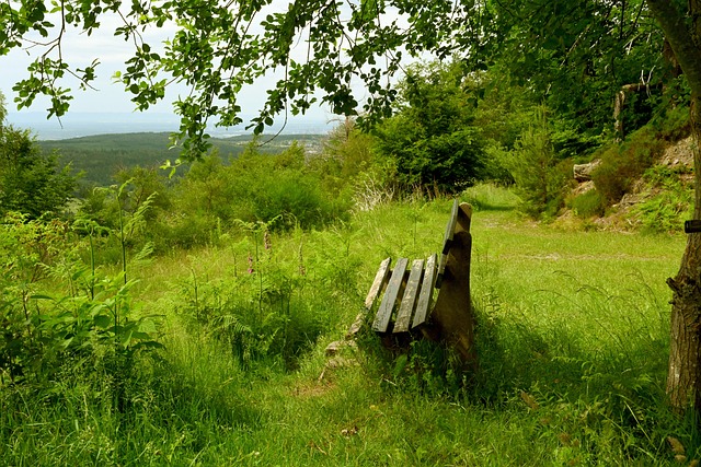 还能带动周 还能带动周