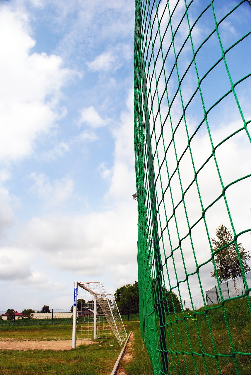 逐步崭露头 逐步崭露头