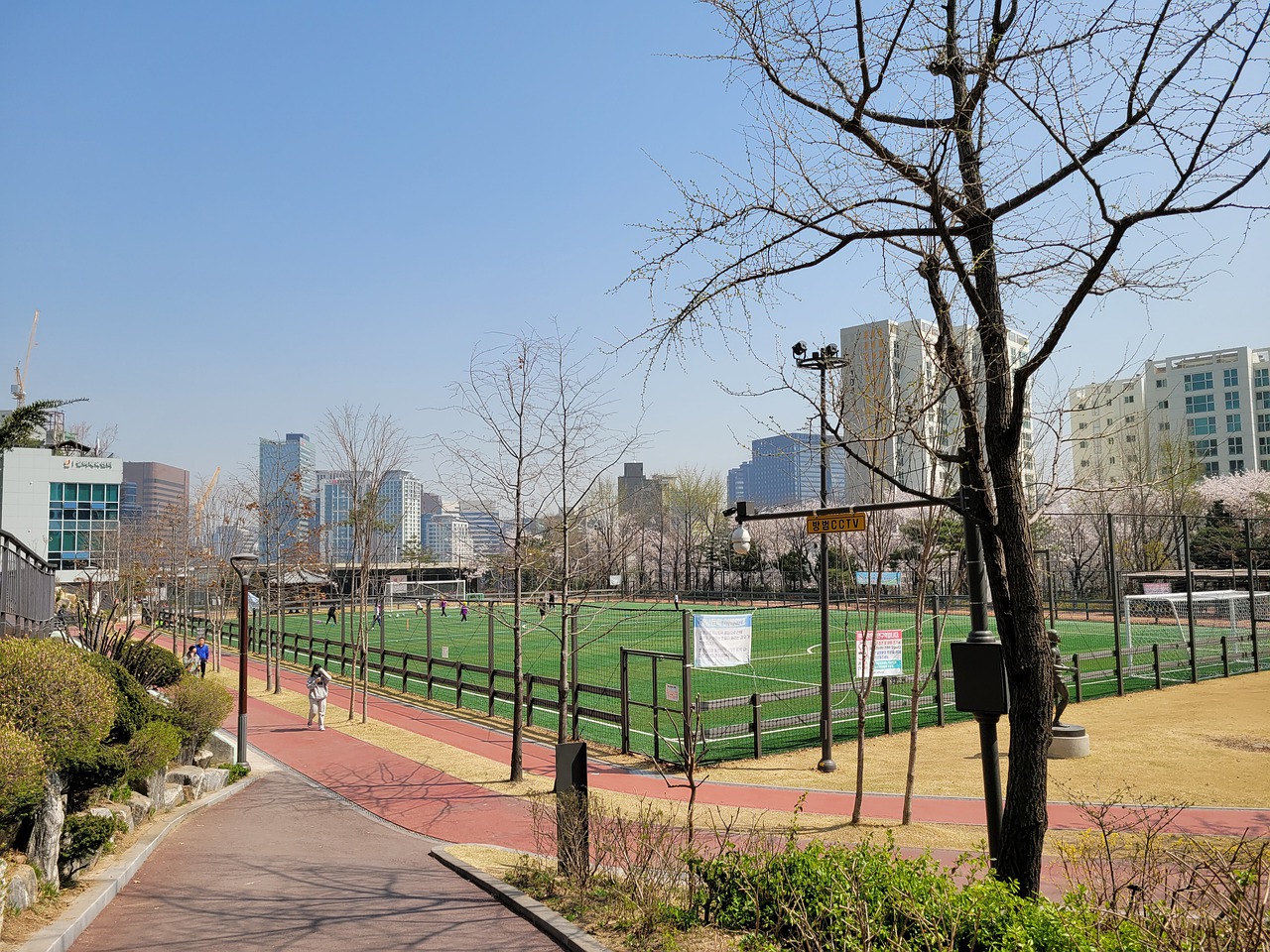 队获得了宝 队获得了宝